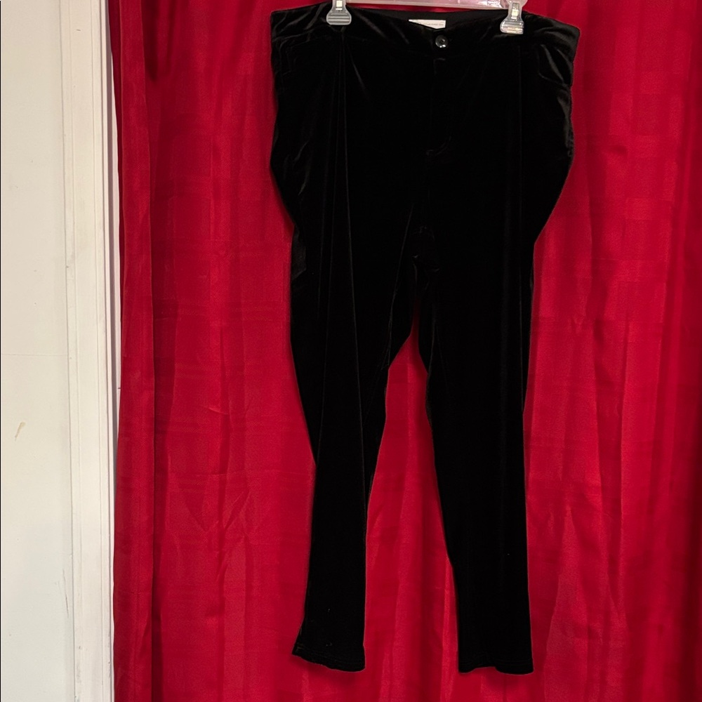 Cato women’s Black 20W velvet Pants